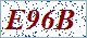 The refresh verification code！