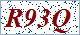 The refresh verification code！